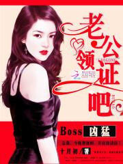 BossͣϹIC