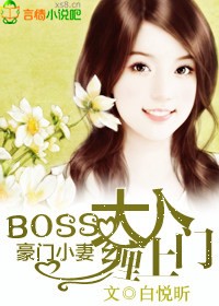 Boss˵ĺTС