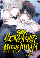 촩ԲBoss100