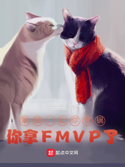 ˣ׌㱳偣FMVP